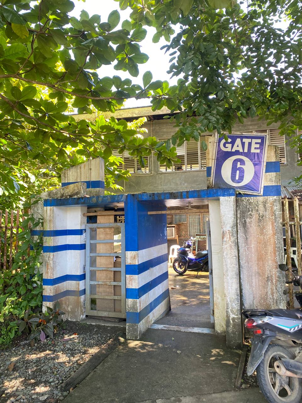 Gate 6